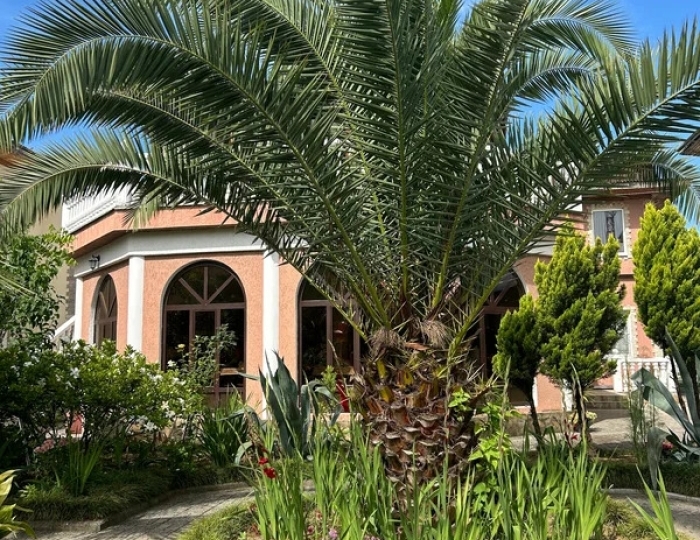 Отель Deny Delmare / Дени Дельмар Гудаута